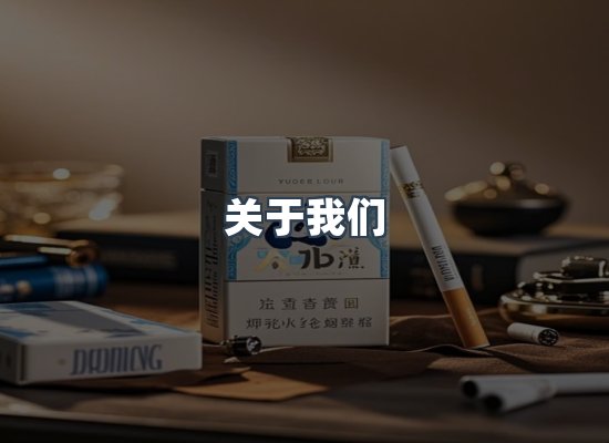 关于我们